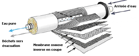 Principe de l'osmose
