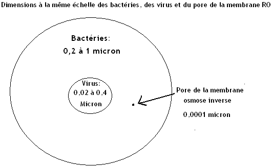 Pore de la membrane osmose inverse