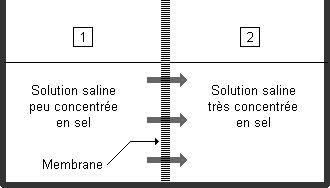 Explication de l'osmose inverse